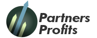 partners-profits.com